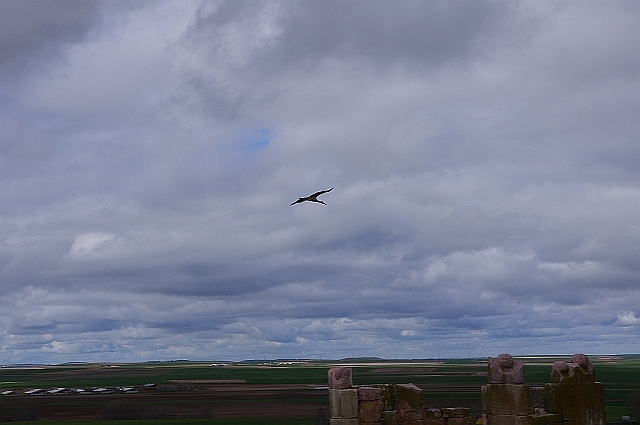 Castilla - tierra de castillos (Кастилия - страна замков)