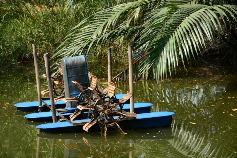 Вокруг Бангкока на машине. Радиус 350 км