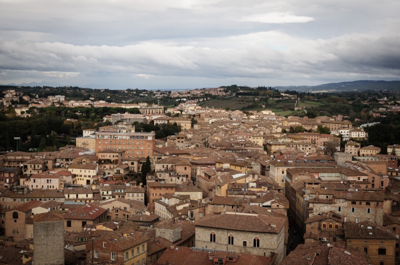 View from Torre del Mangia