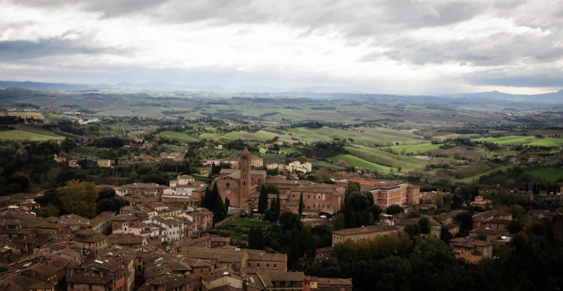 View from Torre del Mangia