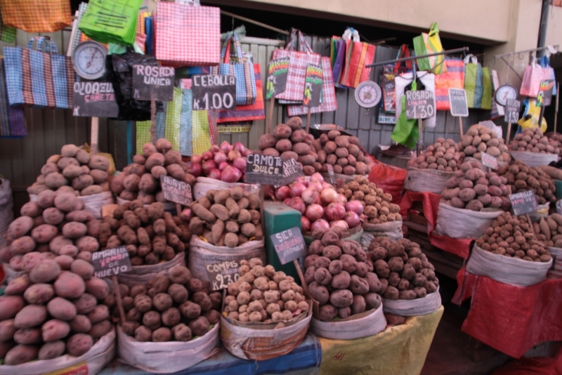 Если очень захотеть...Перу-Боливия, октябрь-ноябрь 2013
