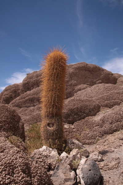 Если очень захотеть...Перу-Боливия, октябрь-ноябрь 2013