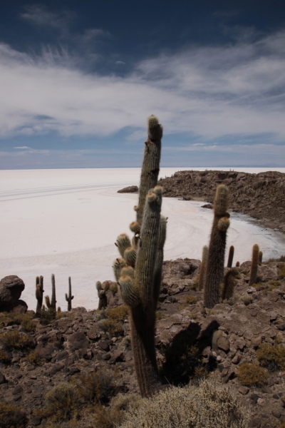 Если очень захотеть...Перу-Боливия, октябрь-ноябрь 2013