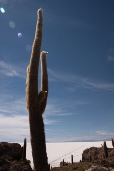 Если очень захотеть...Перу-Боливия, октябрь-ноябрь 2013