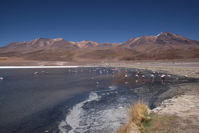 Если очень захотеть...Перу-Боливия, октябрь-ноябрь 2013