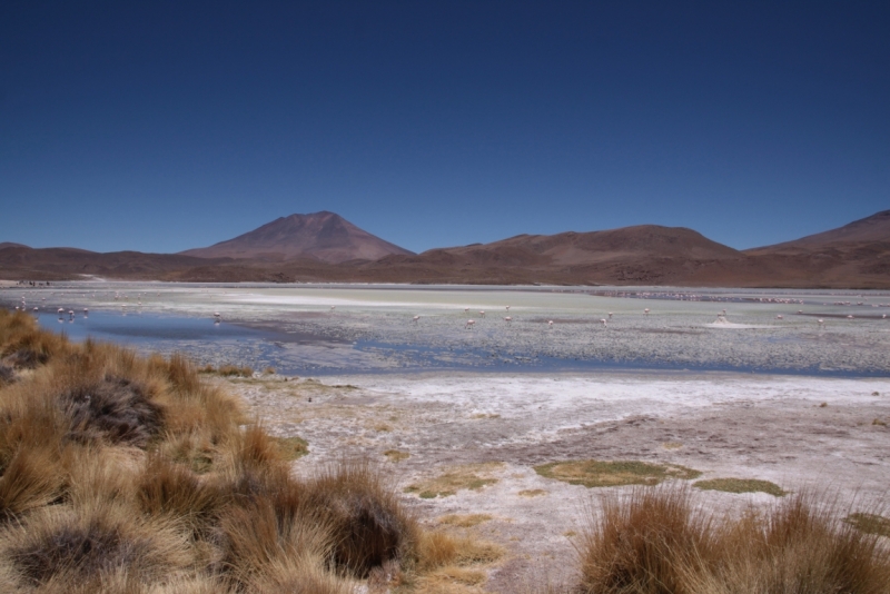 Если очень захотеть...Перу-Боливия, октябрь-ноябрь 2013