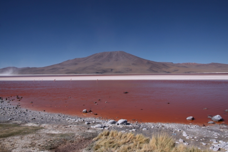 Если очень захотеть...Перу-Боливия, октябрь-ноябрь 2013