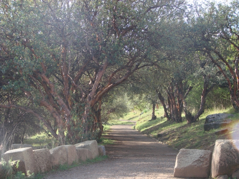 Если очень захотеть...Перу-Боливия, октябрь-ноябрь 2013