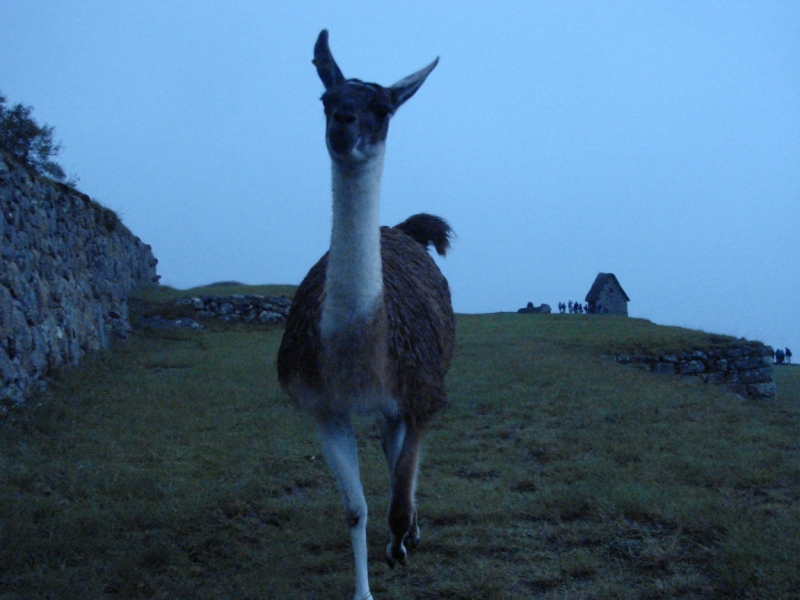 Если очень захотеть...Перу-Боливия, октябрь-ноябрь 2013