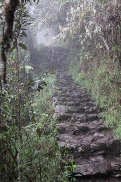 Если очень захотеть...Перу-Боливия, октябрь-ноябрь 2013