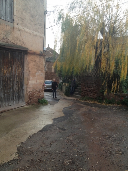 Новый Год в Лангедоке