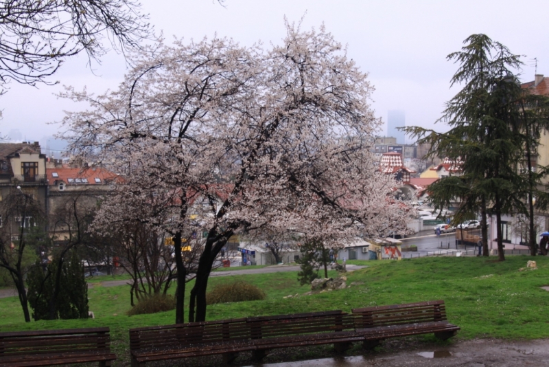 The silence of Balkans