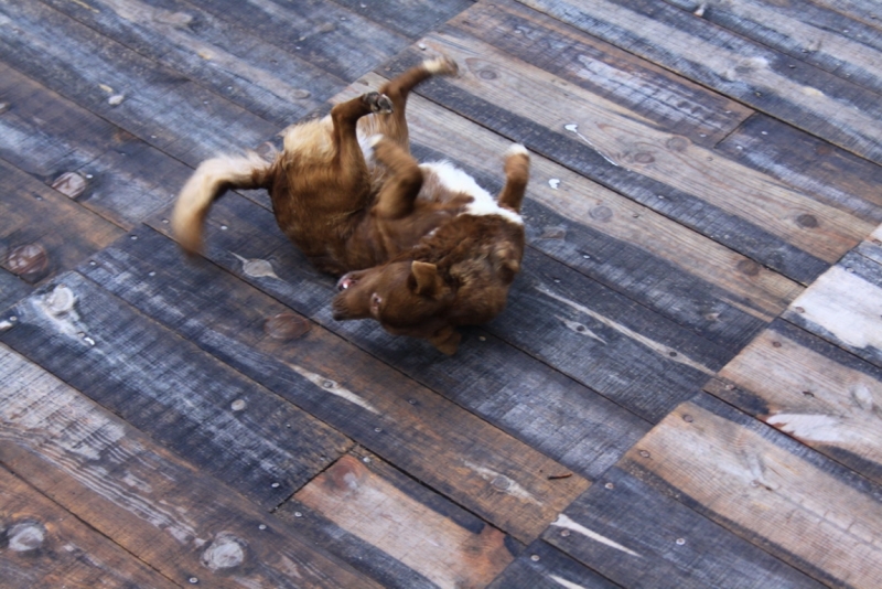 The Silence of Balkans