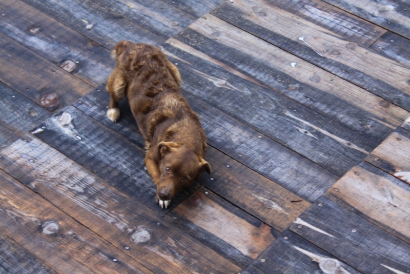 The Silence of Balkans