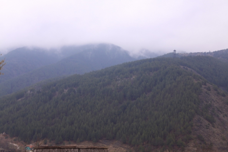 The Silence of Balkans