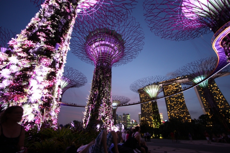 Сингапур-Себу-Бохол-Эль-нидо-Корон-Сингапур. Много фото и цифр.