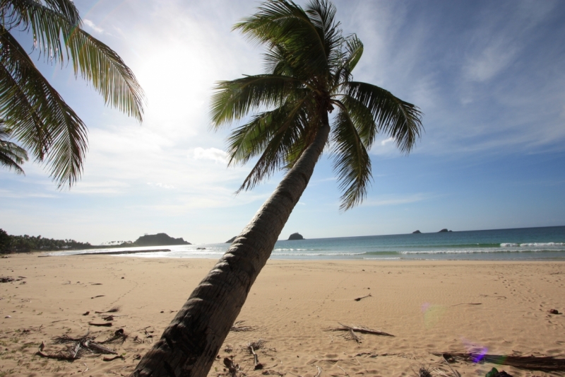 Сингапур-Себу-Бохол-Эль-нидо-Корон-Сингапур. Много фото и цифр.