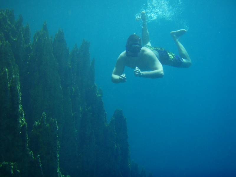 Сингапур-Себу-Бохол-Эль-нидо-Корон-Сингапур. Много фото и цифр.