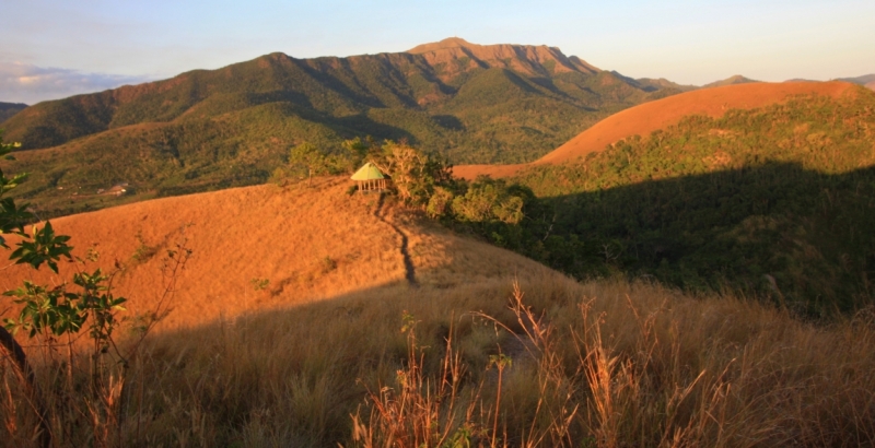 Сингапур-Себу-Бохол-Эль-нидо-Корон-Сингапур. Много фото и цифр.