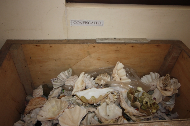 Сингапур-Себу-Бохол-Эль-нидо-Корон-Сингапур. Много фото и цифр.