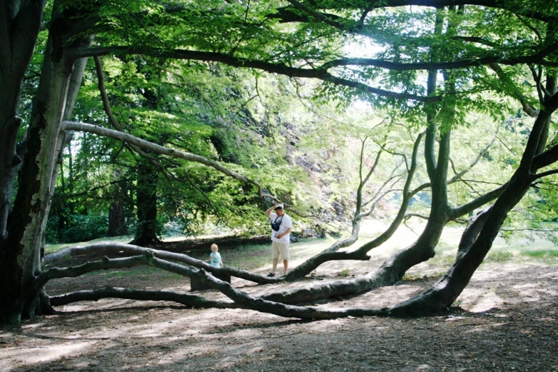 Замок Сихров и Карлштейн 2006