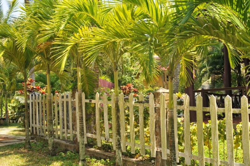 Март 2014: Фукуок- Хошимин- Начанг- Хошимин