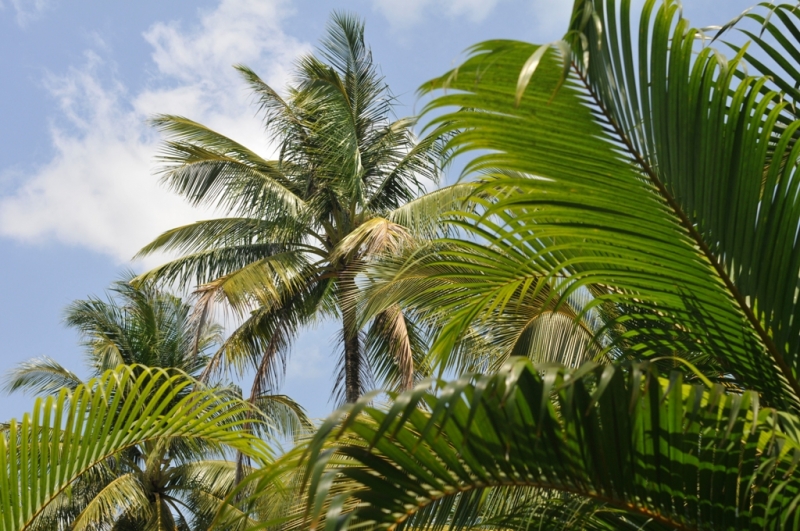 Март 2014: Фукуок- Хошимин- Начанг- Хошимин