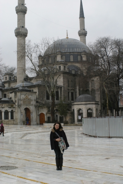 Яркое настроение в сером Стамбуле. 9-11 марта 2014.