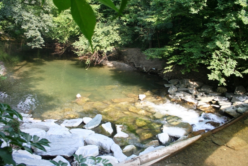 Вена 2006