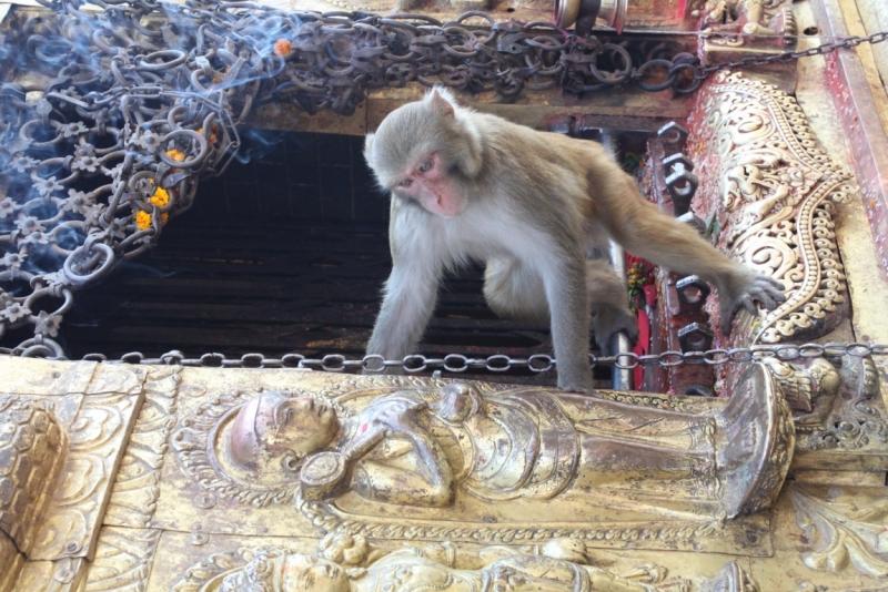 Окрестности Катманду через фотообъектив, ноябрь 2013