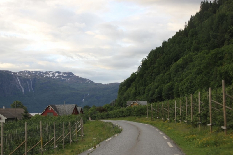 Норвегия в конце мая на 6 дней в доме на колёсах. Реален ли маршрут?
