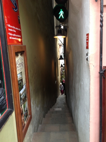 Европа 2013-2014