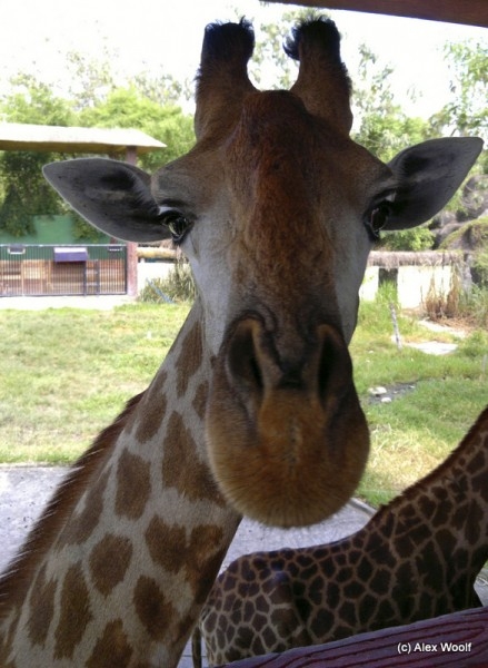 Хошимин: короткий визит