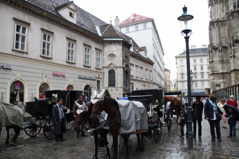 Австрия, Вена, Зальцбург, Грац, 2013 год. Фотоотчет.