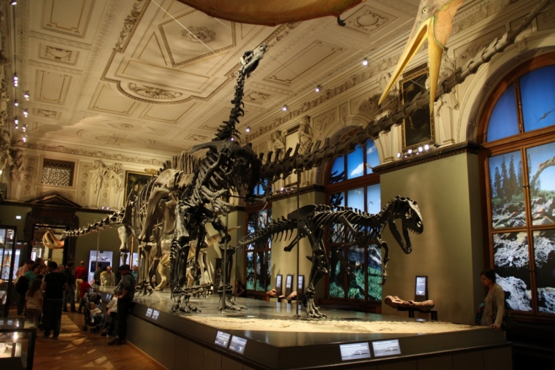 Австрия, Вена, Зальцбург, Грац, 2013 год. Фотоотчет.