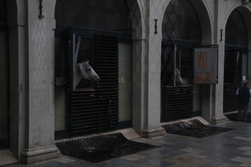 Австрия, Вена, Зальцбург, Грац, 2013 год. Фотоотчет.