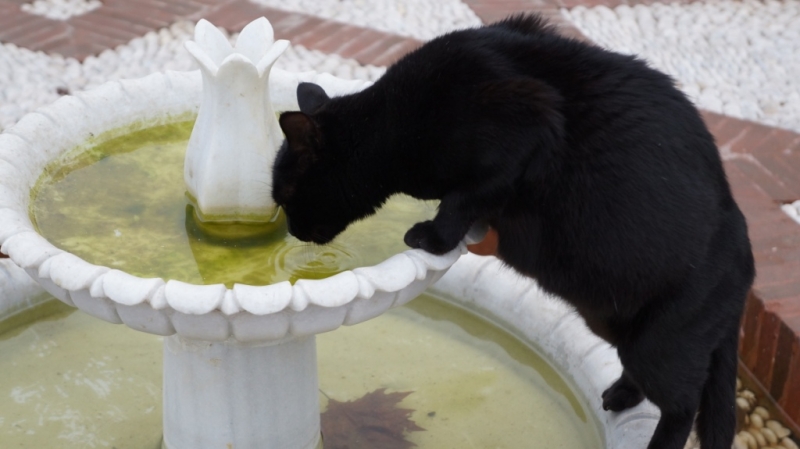 Стамбул и Каппадокия на НГ 2014