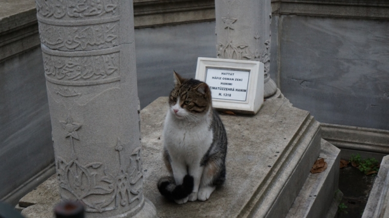 Стамбул и Каппадокия на НГ 2014