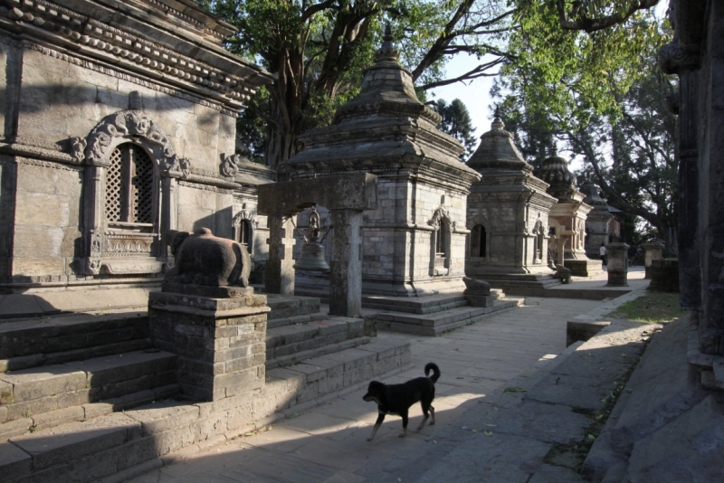 Окрестности Катманду через фотообъектив, ноябрь 2013