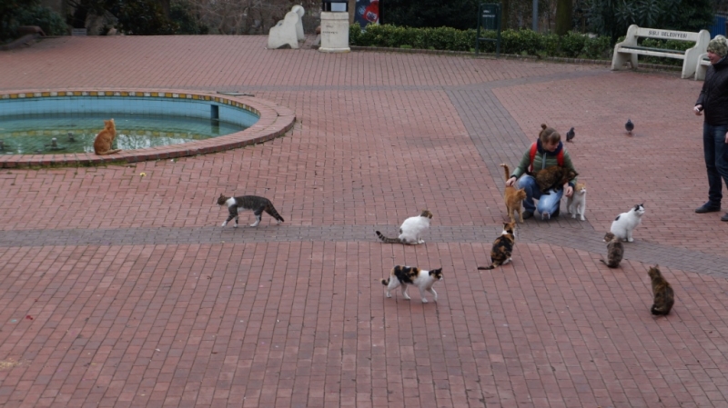 Стамбул и Каппадокия на НГ 2014