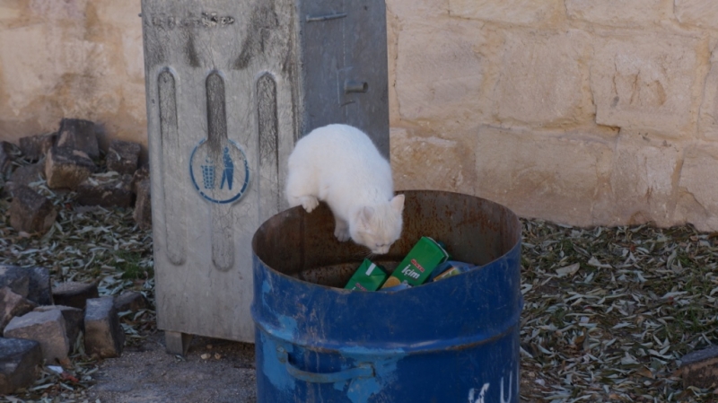 Стамбул и Каппадокия на НГ 2014