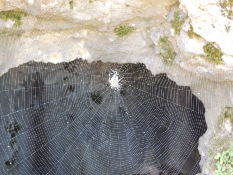 Балканские скитания