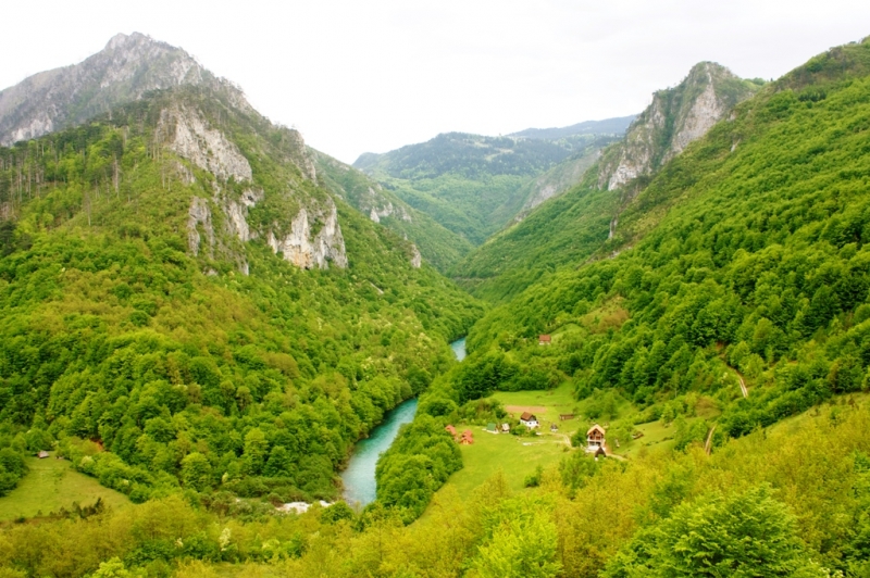 Черногория, река Тара, каньон