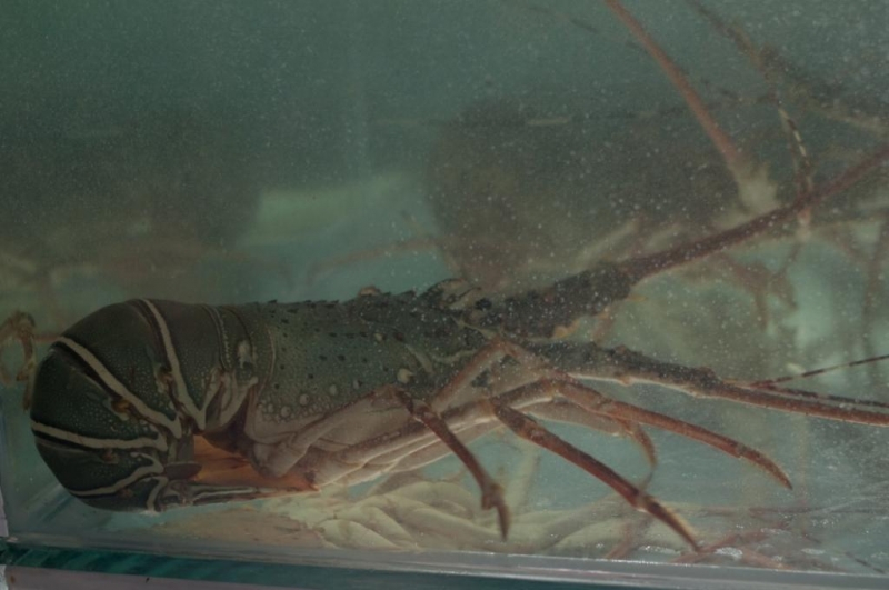 Март 2014: Фукуок- Хошимин- Начанг- Хошимин