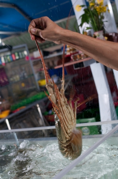 Март 2014: Фукуок- Хошимин- Начанг- Хошимин