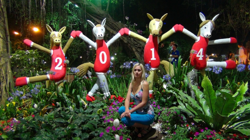 Хошимин-Фукуок январь 2014