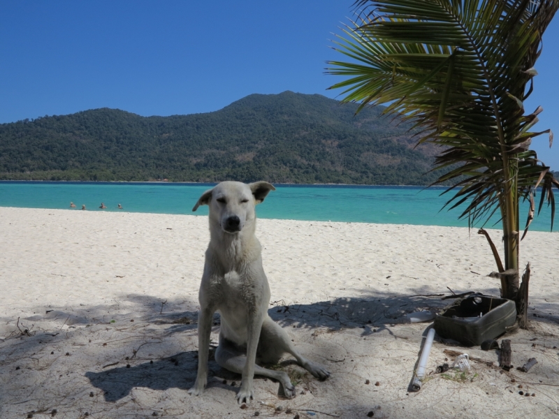 Ко Липе-Лангкави-Куала Лумпур март 2014