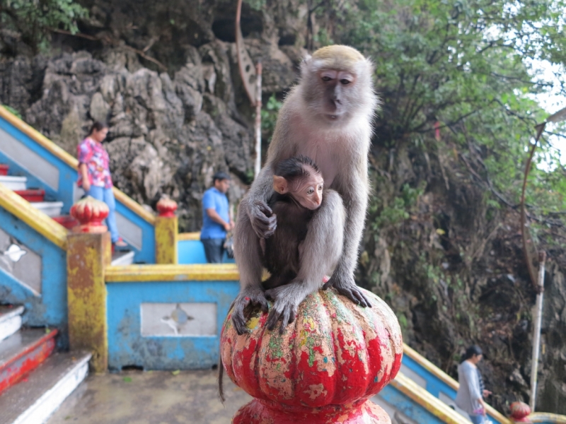 Ко Липе-Лангкави-Куала Лумпур март 2014