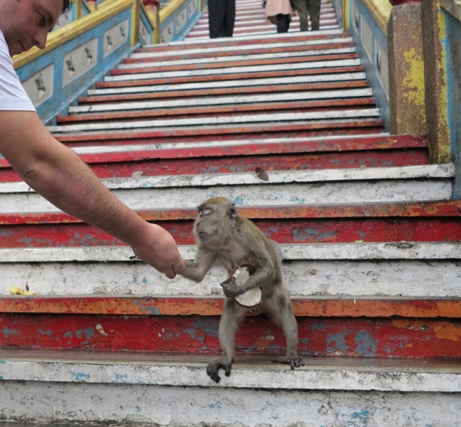 Ко Липе-Лангкави-Куала Лумпур март 2014