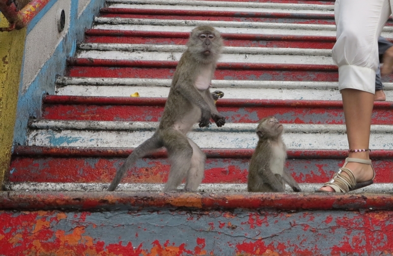 Ко Липе-Лангкави-Куала Лумпур март 2014